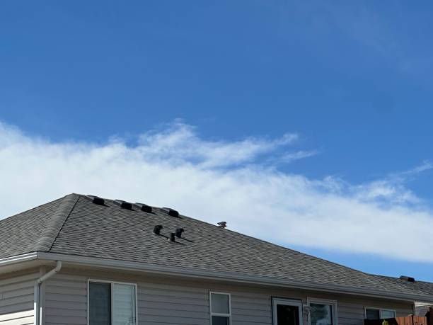 Fast & Reliable Emergency Roof Repairs in Mount Oliver, PA